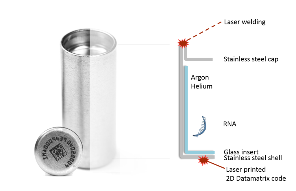 schematic view of the inside of Rnashell
