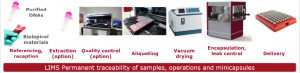 worflow for purified dna encapsulation