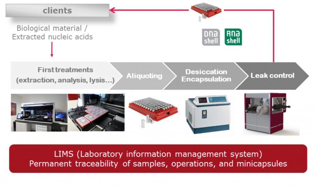 Services en general workflow of the encpsulation platform