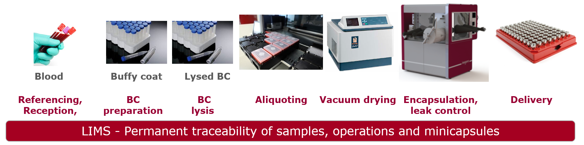 workflow for buffy coat lysis and encapsulation