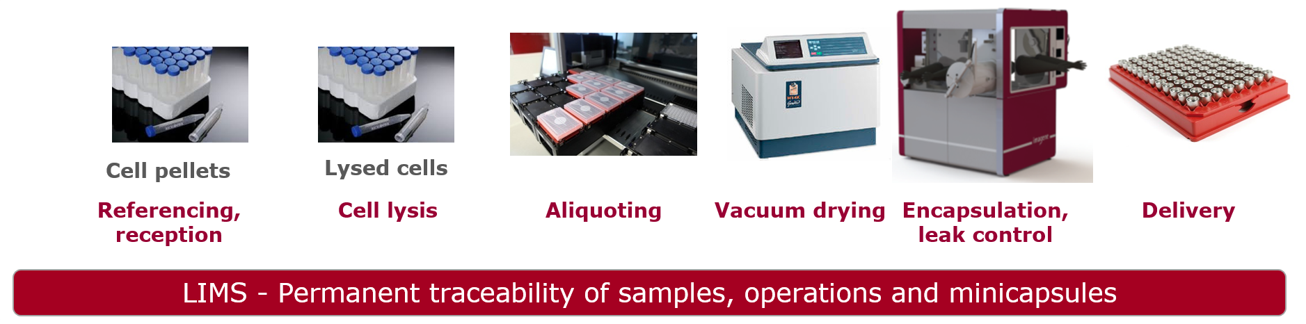 Workflow encaps cellules ADN EN workflow for cell lysis and encapsulation